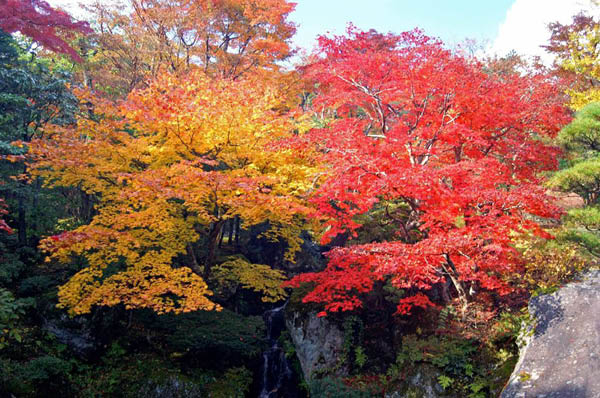 image0000