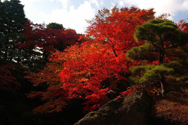 image0004