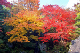 image0000