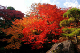 image0002