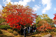 image0003