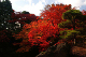image0004