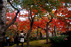 image0006