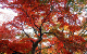 image0007
