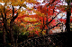 image0008