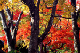 image0011