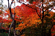 image0013