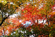 image0014