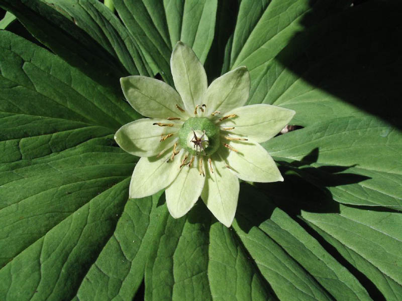 image0002