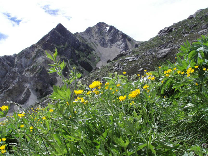 image0010