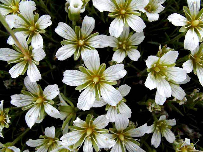 image0014