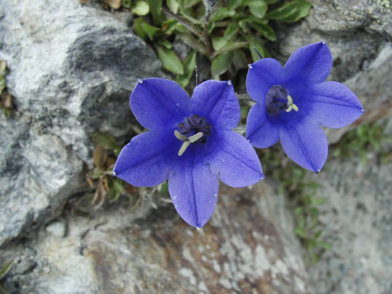 image0015