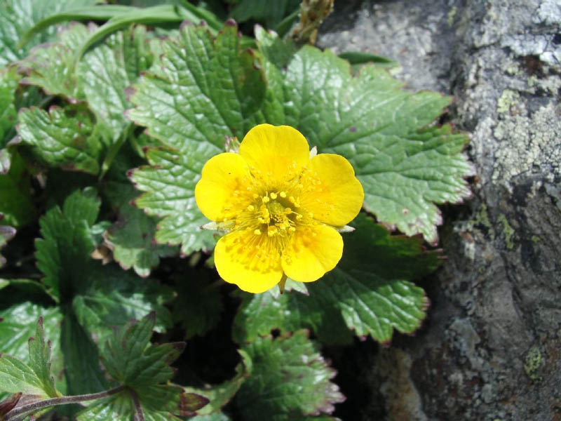 image0018