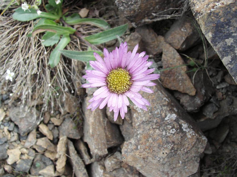 image0020
