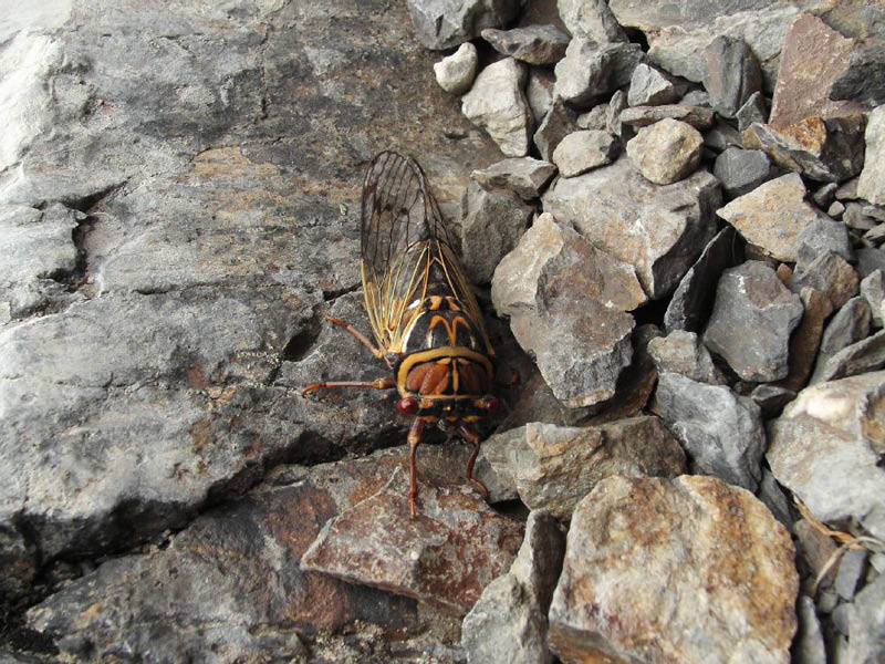image0022