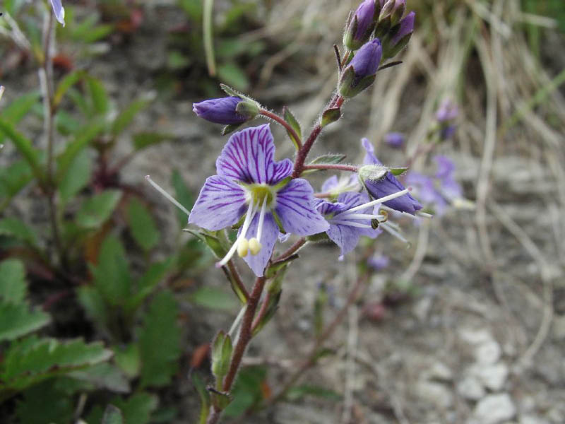 image0023