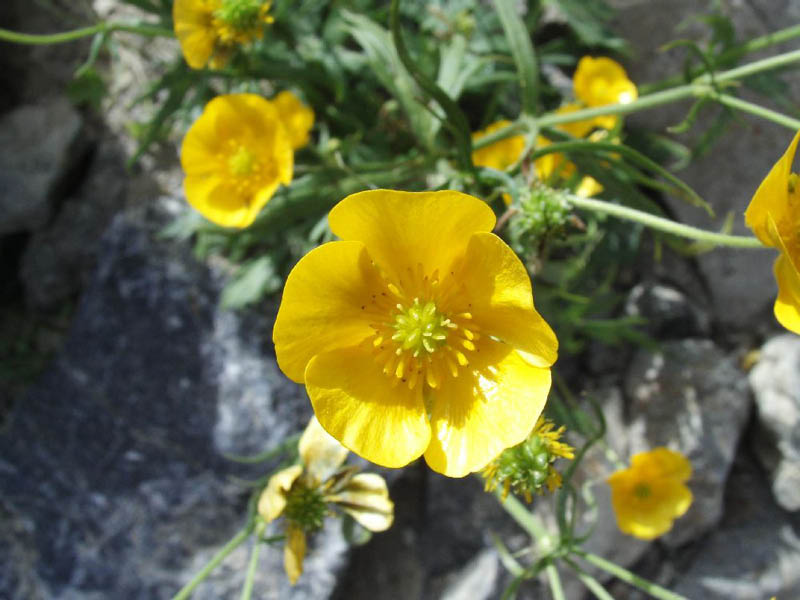 image0024
