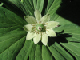 image0002