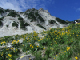 image0006