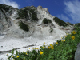 image0008
