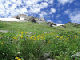 image0011