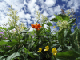 image0013