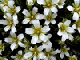 image0014
