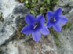 image0015