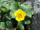 image0018