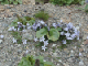 image0019