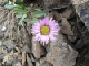 image0020