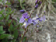 image0023