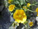 image0024