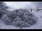 足柄峠の雪景色