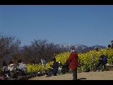 吾妻山